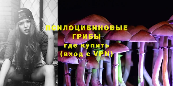 гидра Осинники